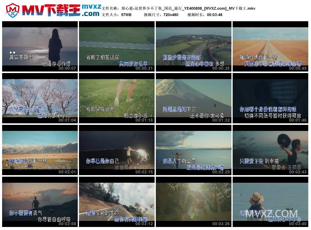 郑心慈-这世界少不了你_国语_流行_YE400858
